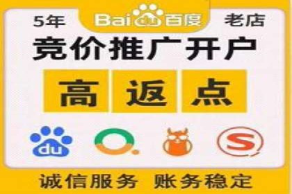 百度竞价策略：如何快速实现盈利的案例