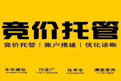 案例解析：竞价广告效果评估与优化